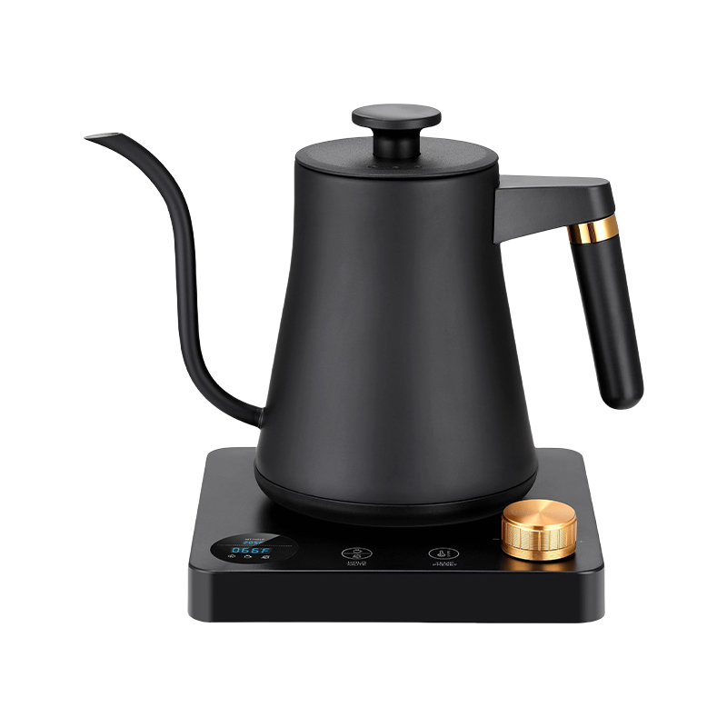 Coffee Kettle ZT-10DK22
